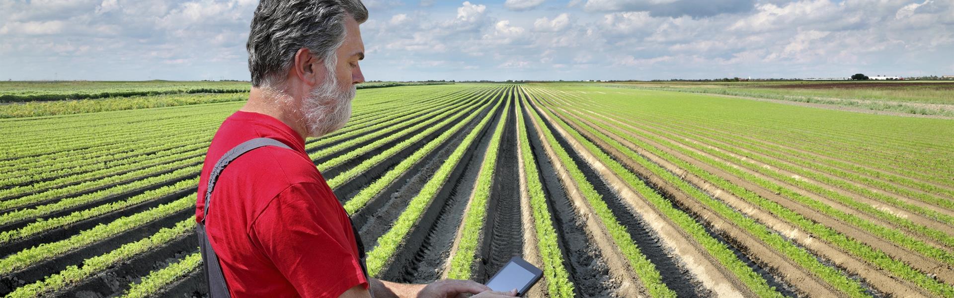 Image-Picture-Agricultural-Sector-2018-GLO-EN
