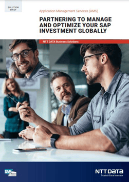 SolBrief-Optimize-SAP-thumbnail