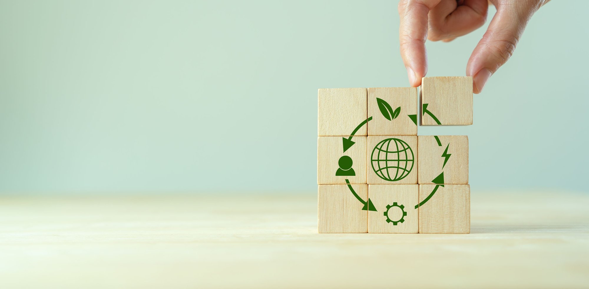 sustainability